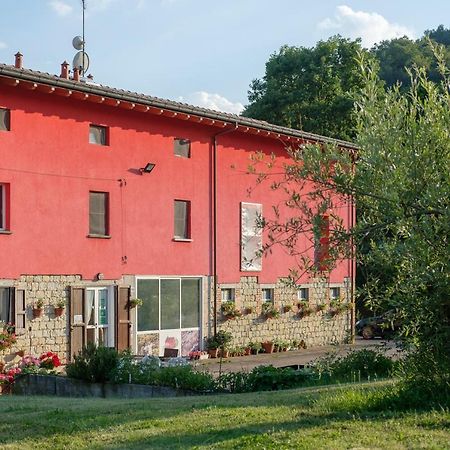 Al Sasseto B&B Montagnana  Zewnętrze zdjęcie