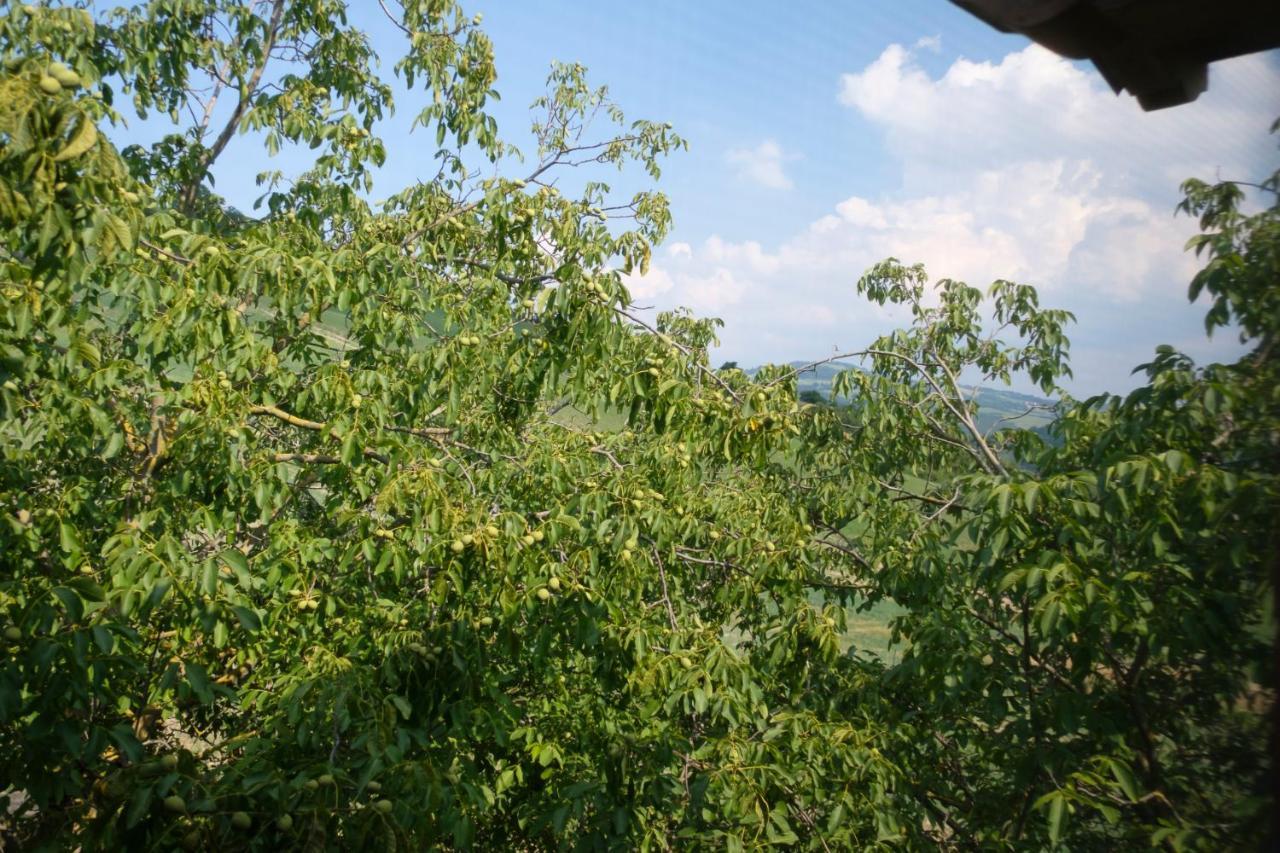Al Sasseto B&B Montagnana  Zewnętrze zdjęcie