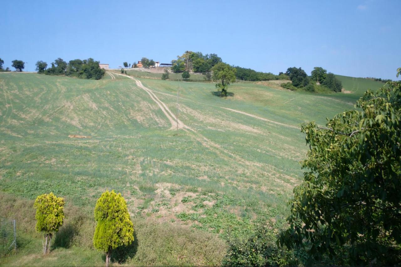 Al Sasseto B&B Montagnana  Zewnętrze zdjęcie