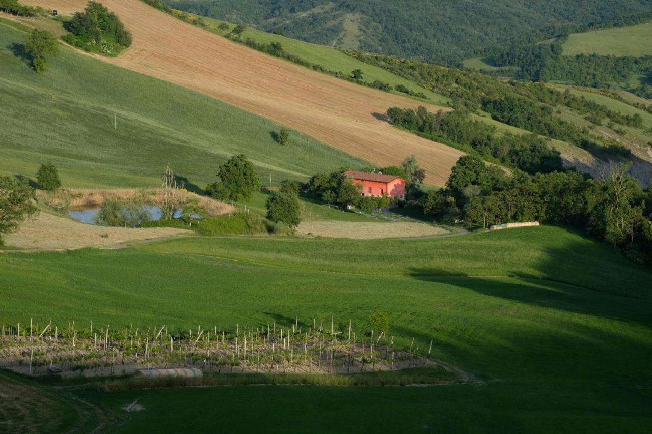 Al Sasseto B&B Montagnana  Zewnętrze zdjęcie