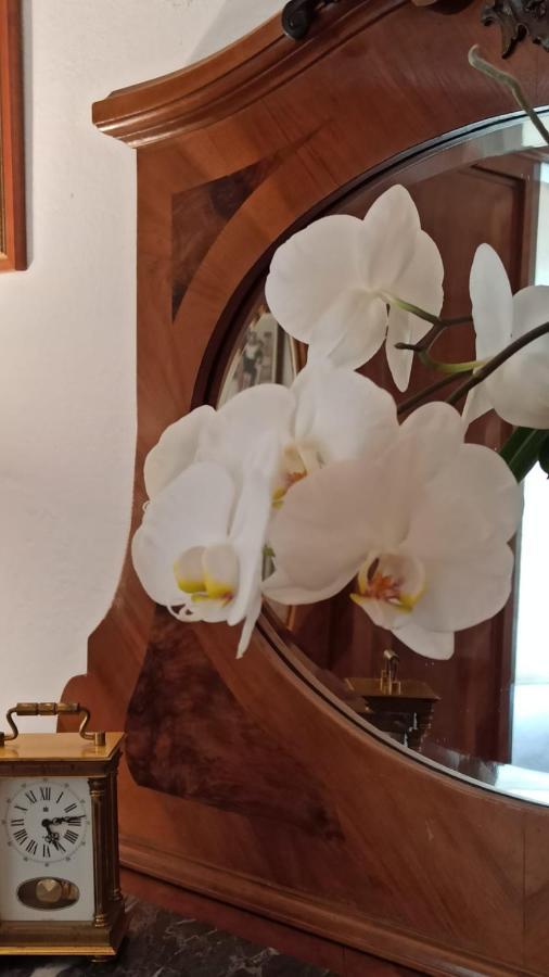 Al Sasseto B&B Montagnana  Zewnętrze zdjęcie